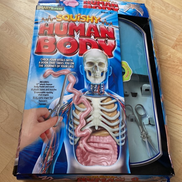 Youth science toy - Squishy Human Body 8+ - Picture 3 of 12